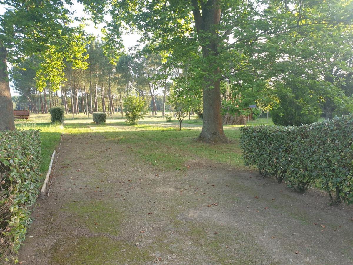 Villa LA Grange de MOMBEL à Losse Extérieur photo